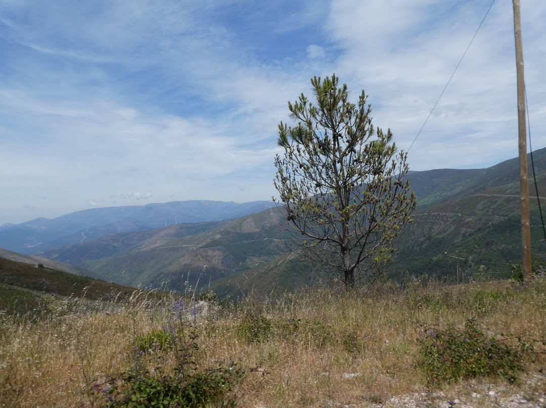 Quinta do Rio Alva主图