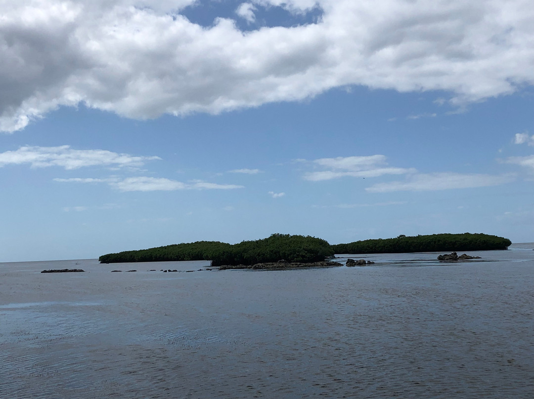 Capt. Harvey's Redneck Tours-Ozello必去景点