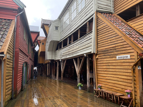 Bryggen Guiding - A Walk With A Historical Expert-卑尔根必去景点