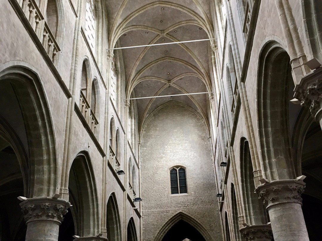 Basilica of St. Willibrord-Hulst必去景点