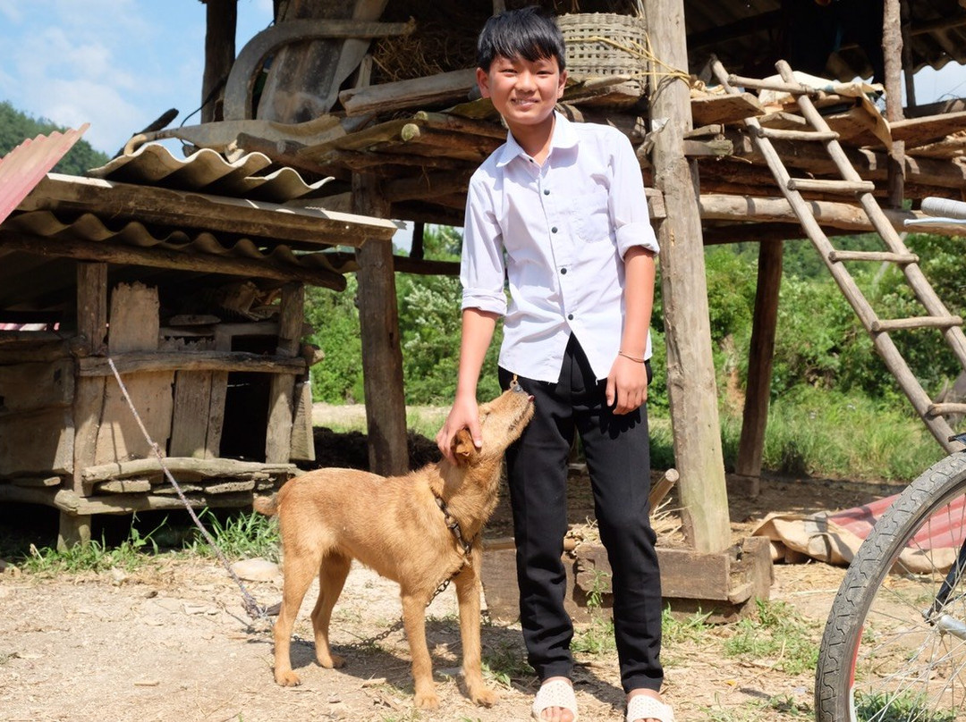 Indigenous Homestay主图