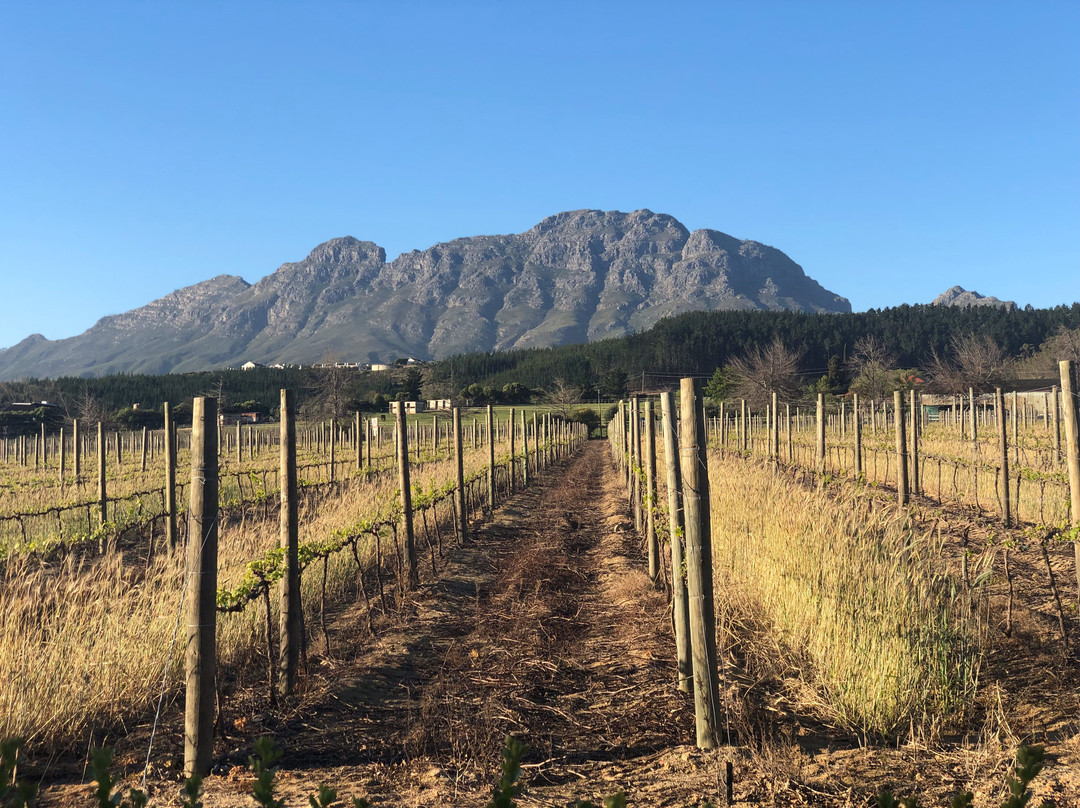 Lanzerac Hotel & Spa主图