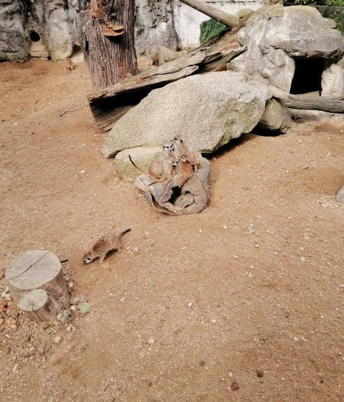Zoo Liberec景点图片