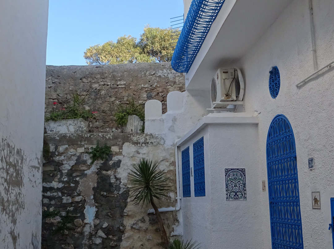 Medina of Yasmine Hammamet-哈玛麦德必去景点