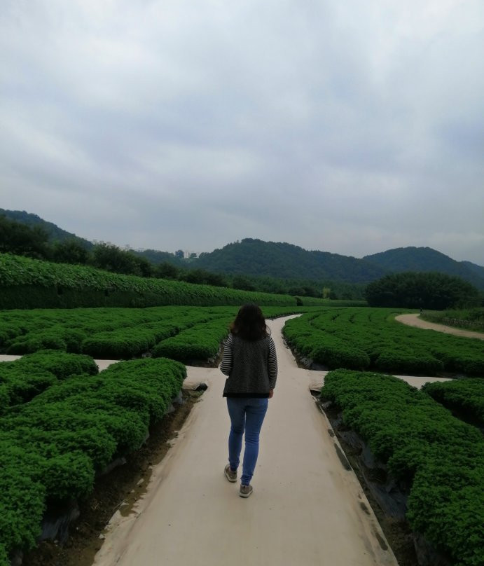 Taehwagang National Garden景点图片