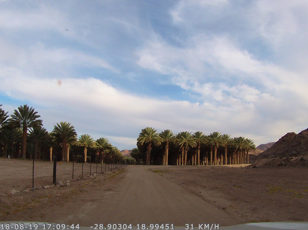 Klein Pella Guest House主图