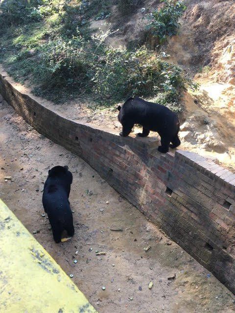 Hlawga Wildlife Park-仰光必去景点