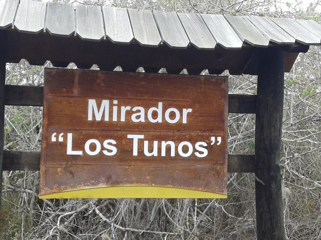 Mirador los tunos-维里亚米尔港必去景点