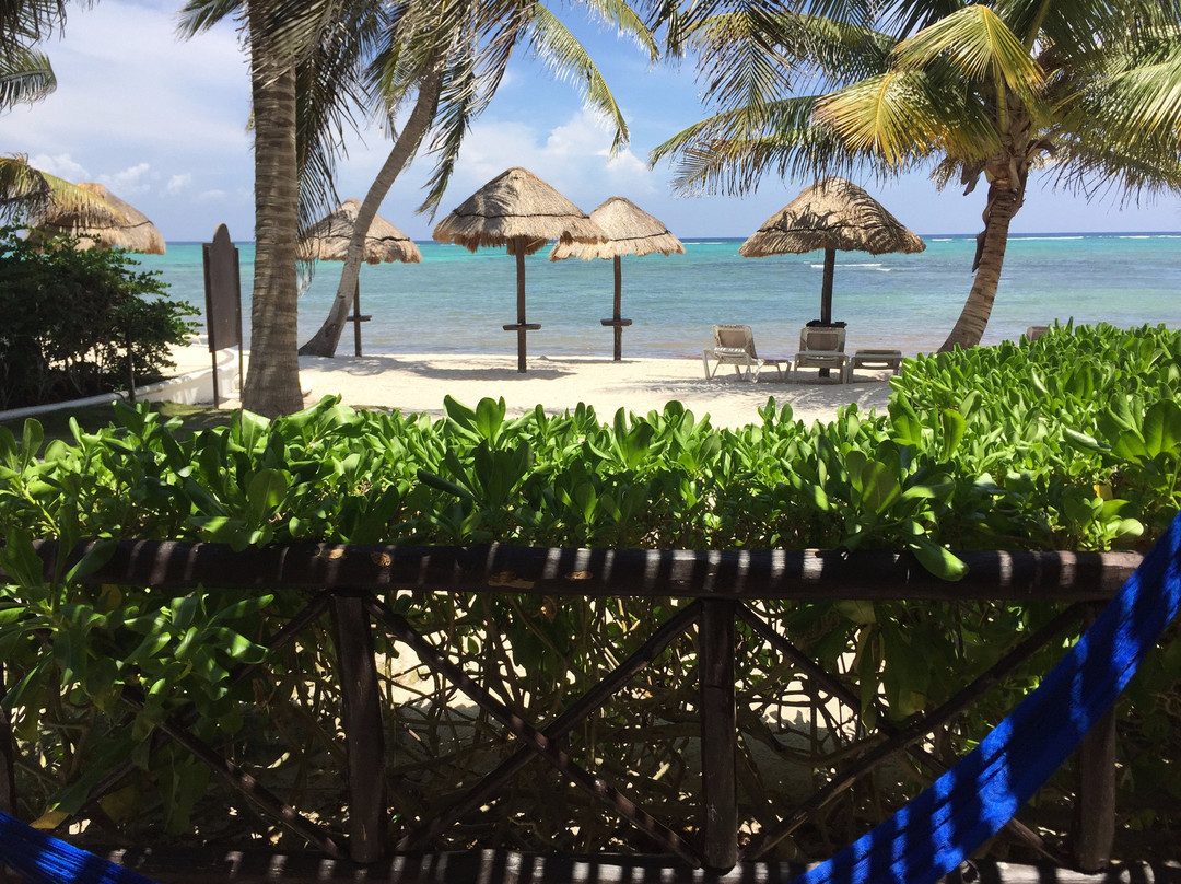 PavoReal Beach Resort Tulum主图