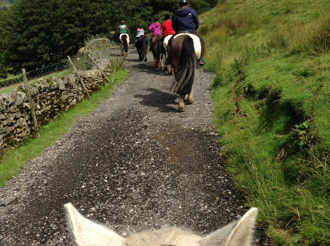 Lakeland Pony Trek-温德米尔必去景点