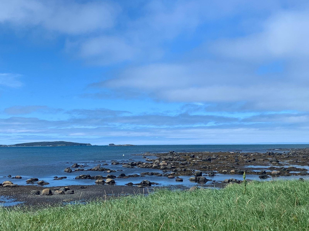 Shallow Bay Motel & Cabins主图