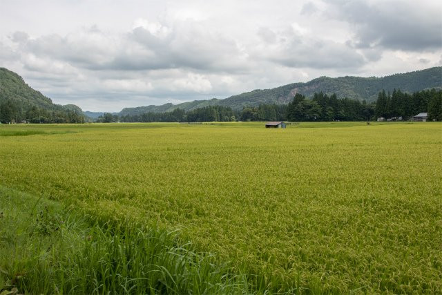 Honedera Mura Shoen-一关市必去景点