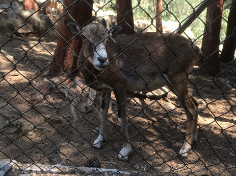Thessaloniki Zoo-Agios Pavlos必去景点