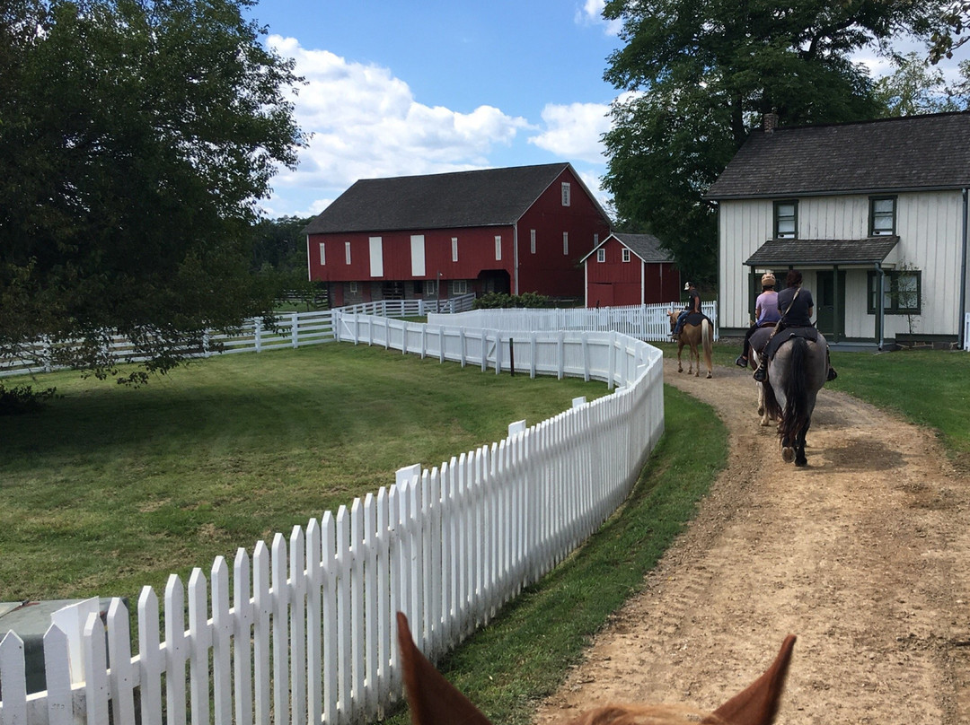 Hickory Hollow Horse Farm景点图片