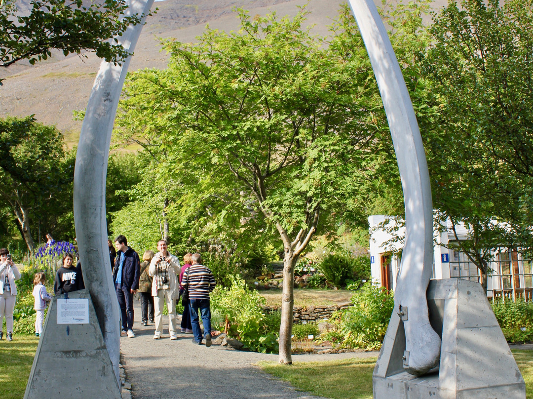 Skruður Botanical gardens景点图片