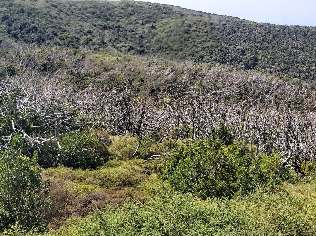 Mirador Del Cabezo Del Mocanillo