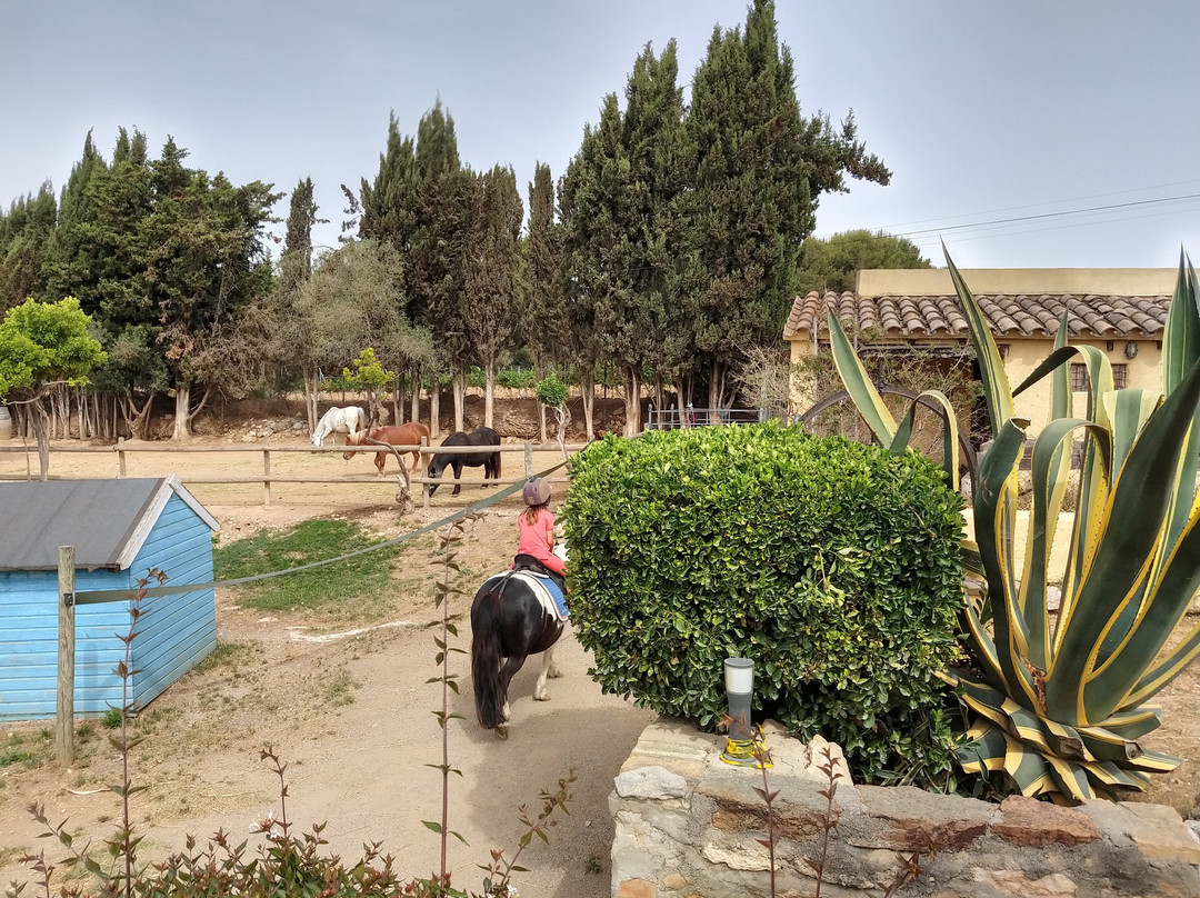 Escola Pony Club Granja景点图片