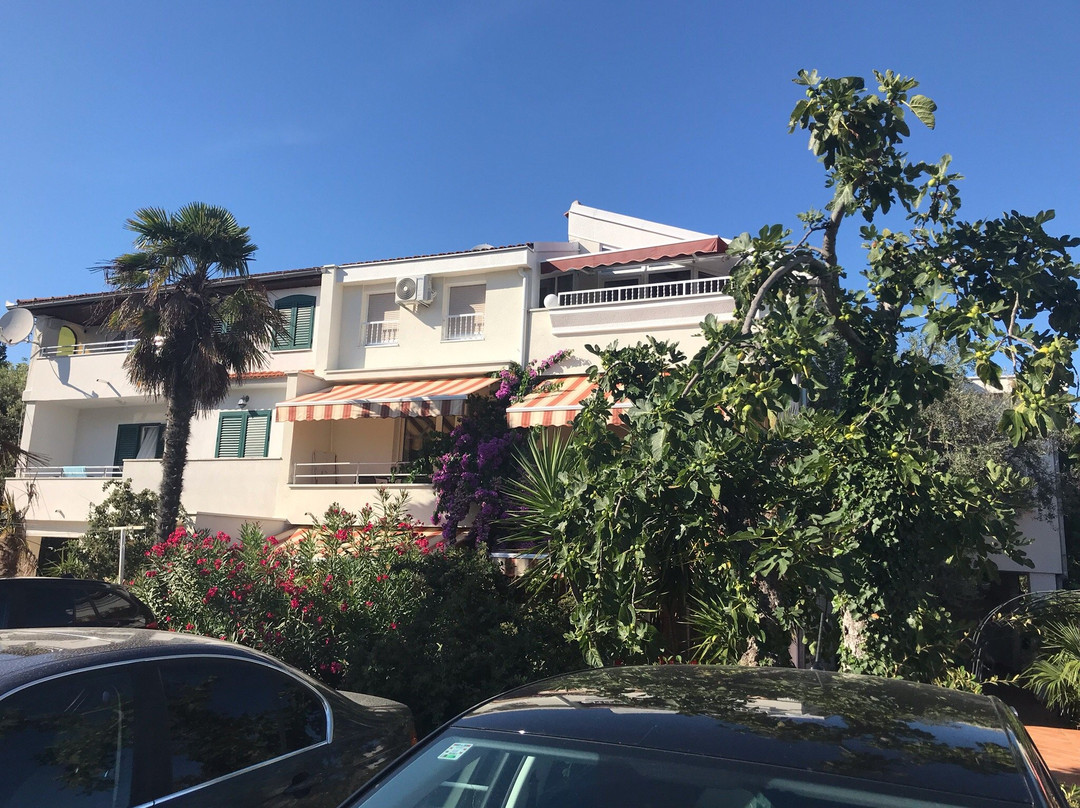 Villa Fontana主图