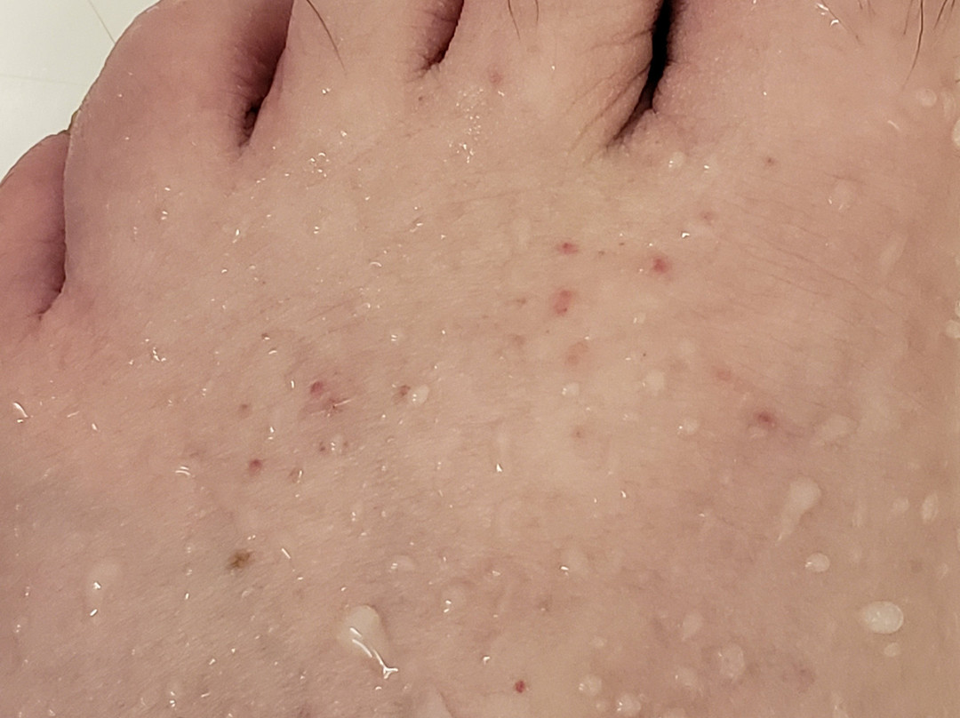 戴维斯拉金塔旅馆&套房酒店主图