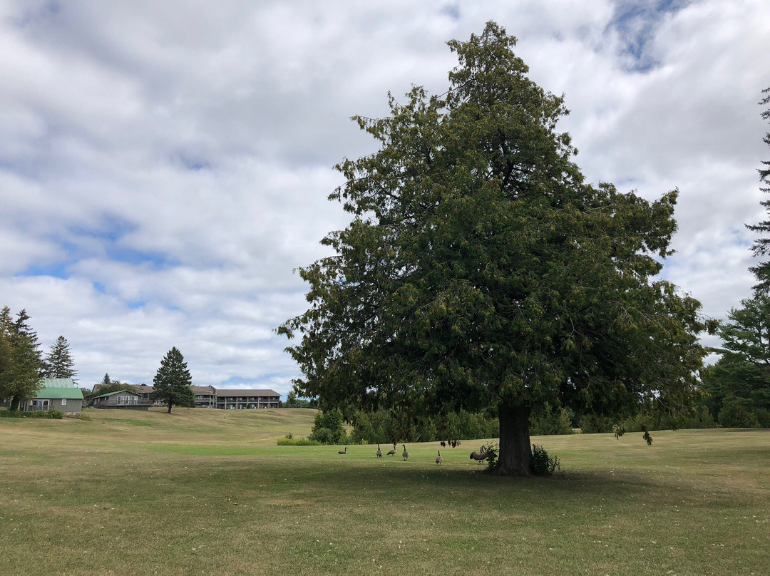 Eganridge Golf & Country Club景点图片