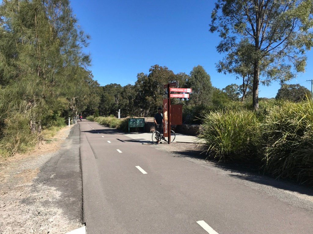 Fernleigh Track-纽卡斯尔必去景点