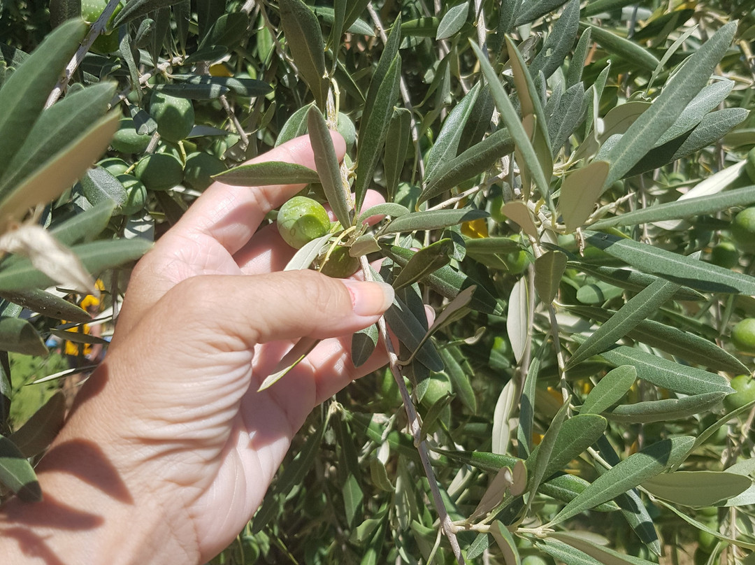 Paradise Hotel主图