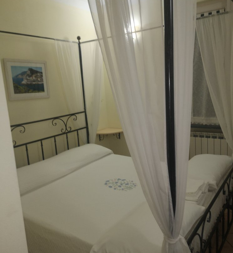 B&B Oasi Verde主图