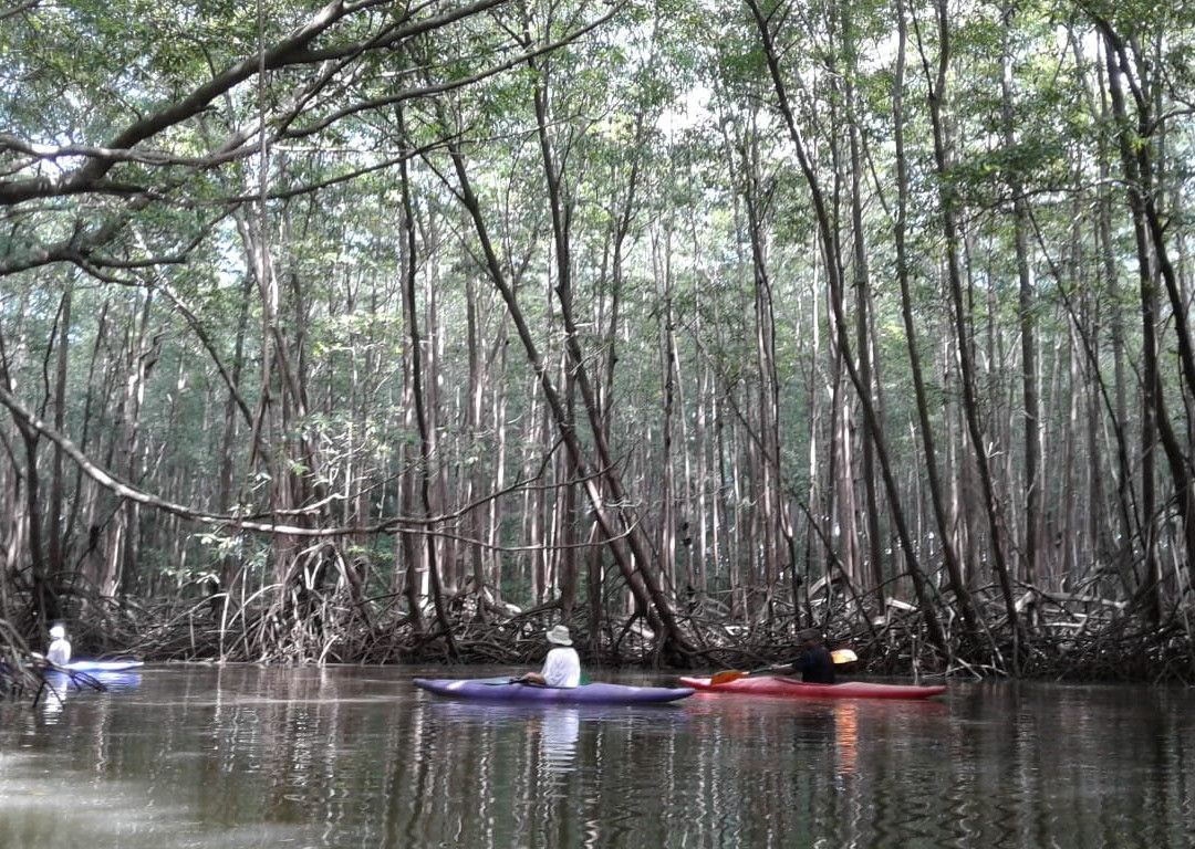 Castillo Divertido主图