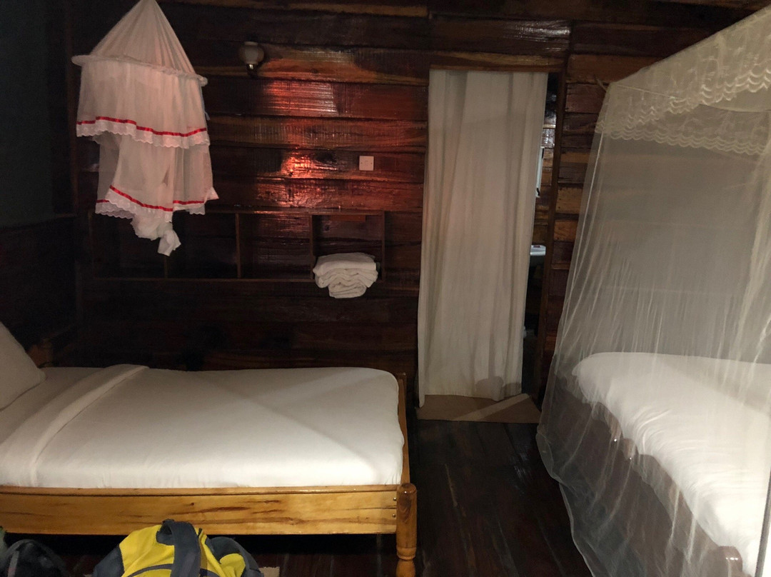 依考玛探险营地山林小屋主图