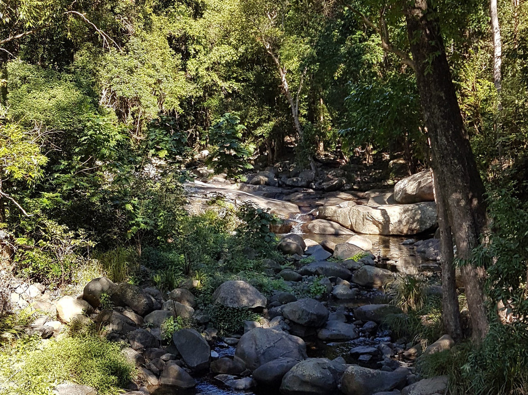Cedar Creek Park景点图片