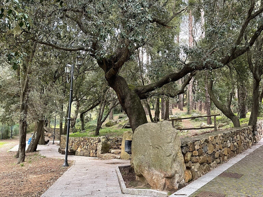 Parco Comunale Perd'e Pibera