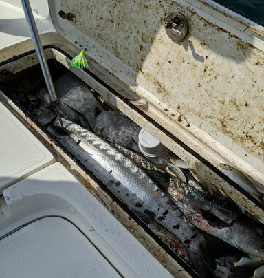 American Fishing Charters-泰碧岛必去景点