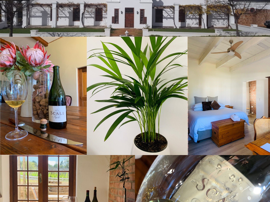 SCALI Wines-帕尔必去景点