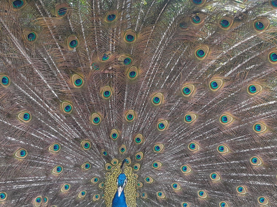 FAB Private Customized Tours, Cyprus (Larnaca)-拉纳加必去景点