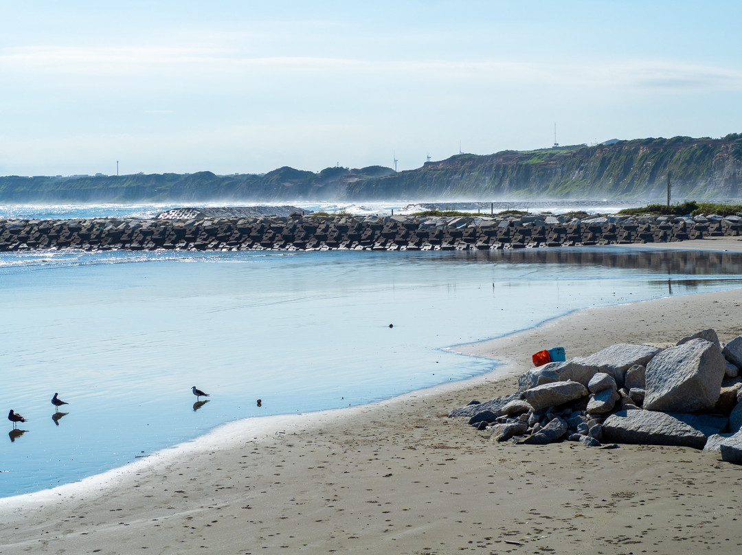 Choshi Marina Beach-铫子市必去景点