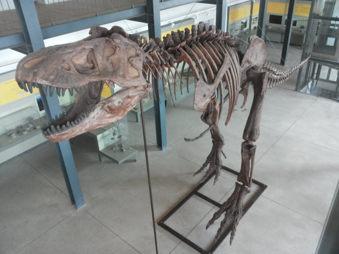 Carbonia旅游景点-Museo Dei Paleoambienti Sulcitani