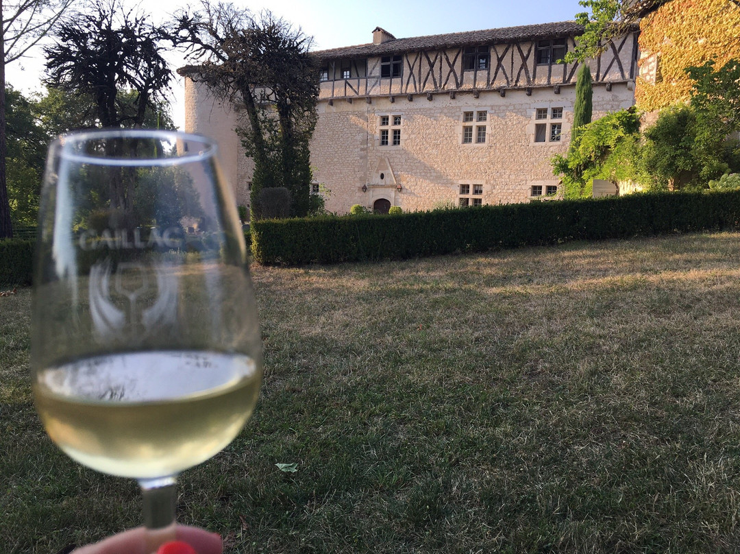 Chateau de Mayragues主图