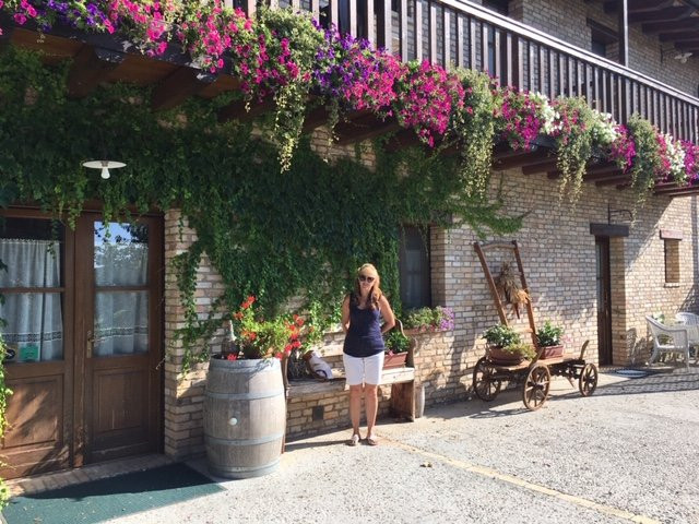 Alloggio Agrituristico Albafiorita主图