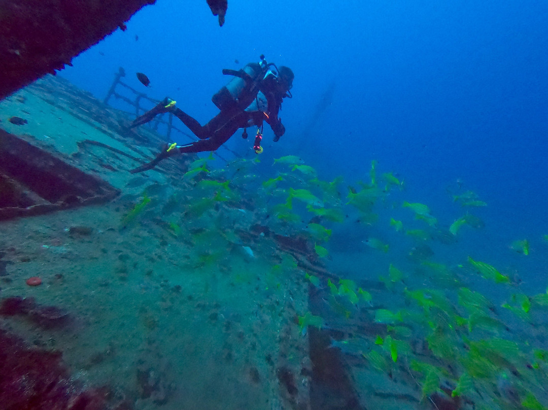 Ocean Divers-弗力克昂弗雷克必去景点