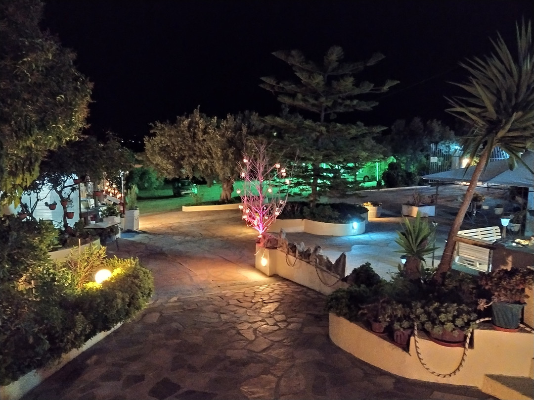 Viglia Studios主图