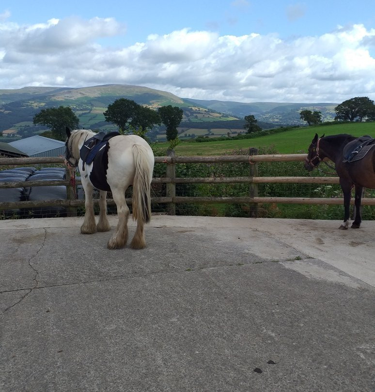 Wern Trekking and Riding Centre-Crickhowell必去景点