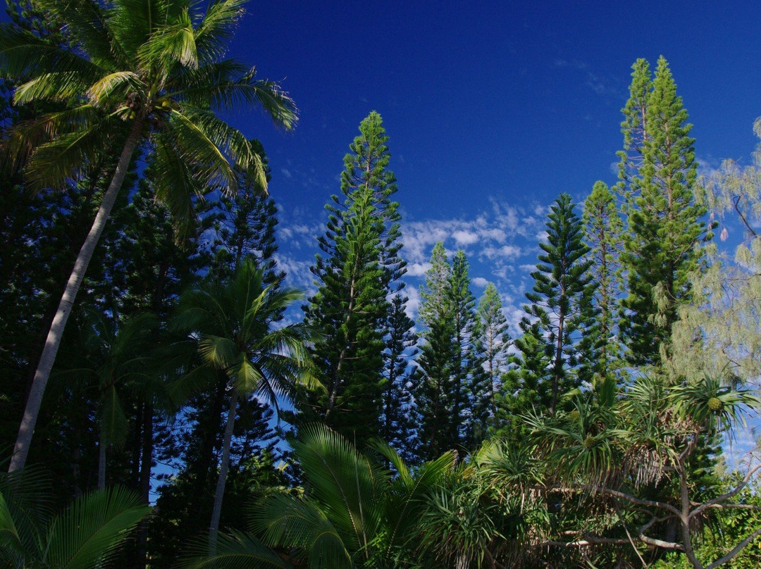 Plage de Kutema-Ile Des Pins必去景点