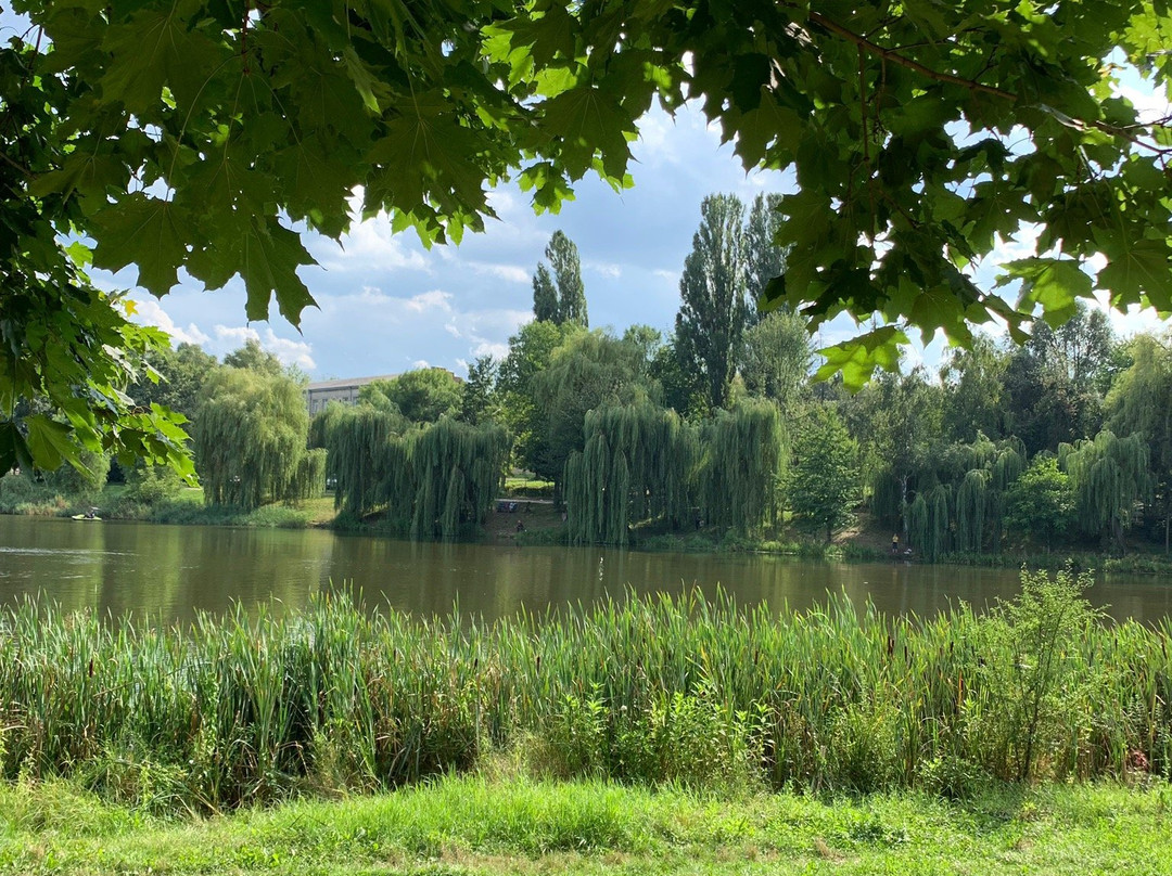 Zhovtneviy Park-Chernivtsi必去景点