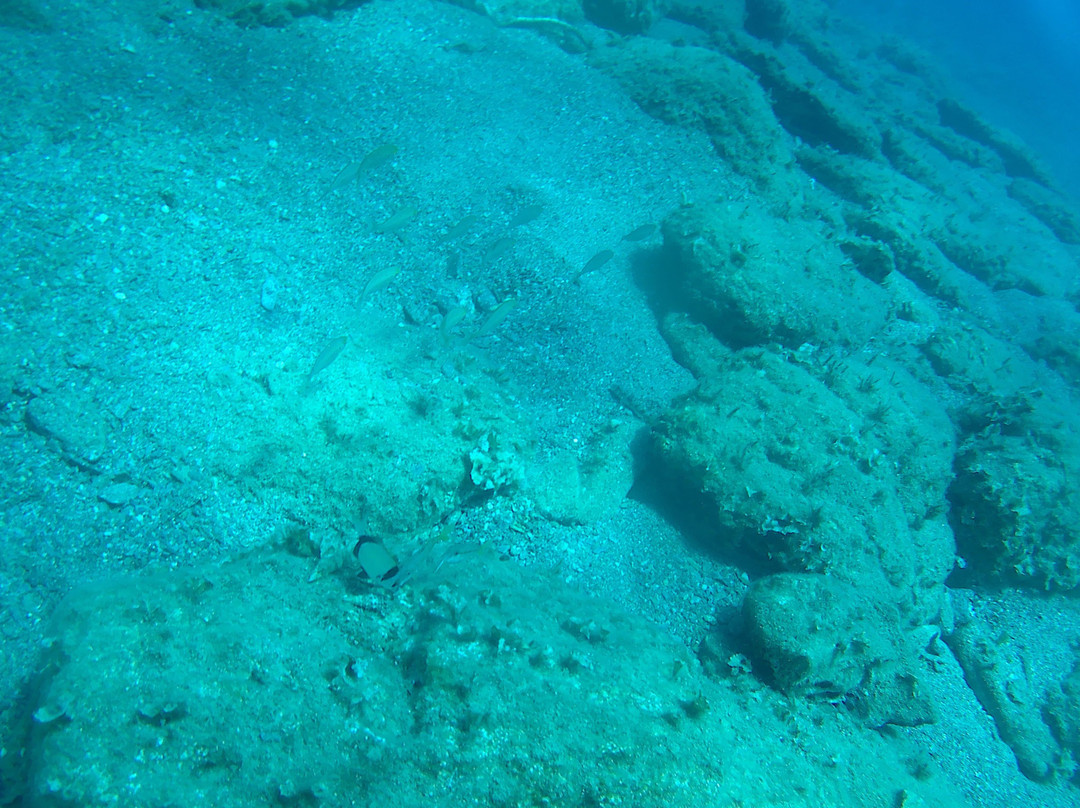 Poseidon Diving Club景点图片