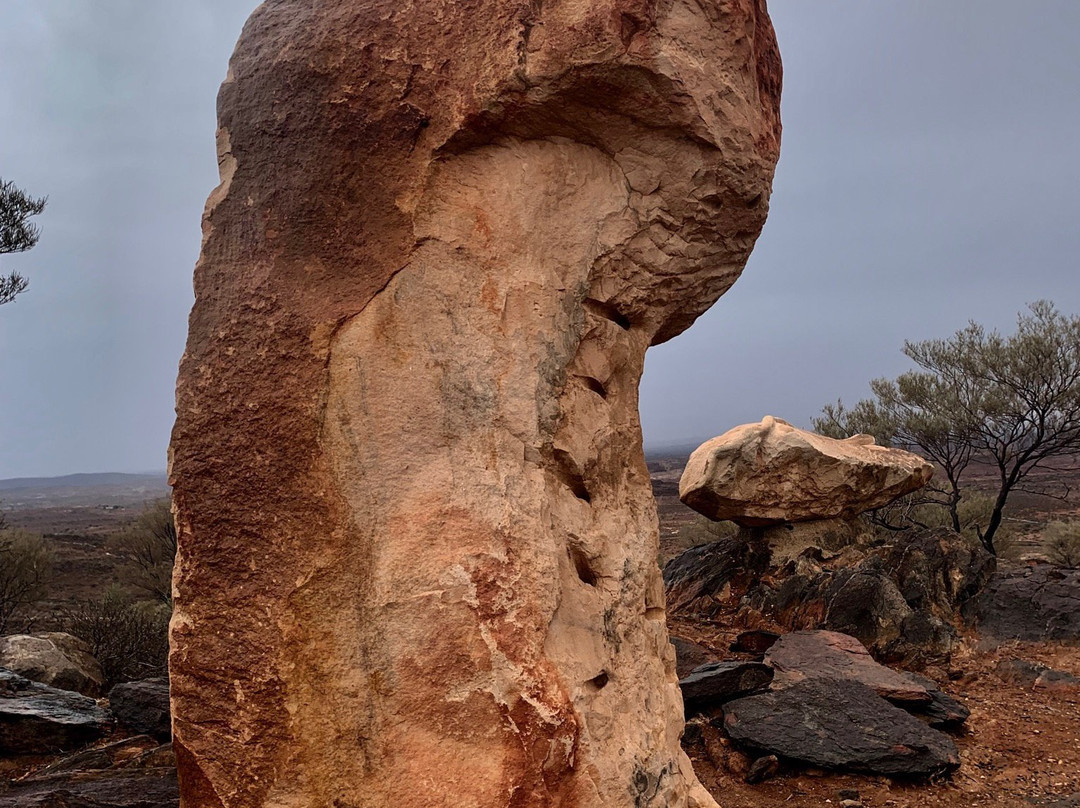 Living Desert State Park景点图片