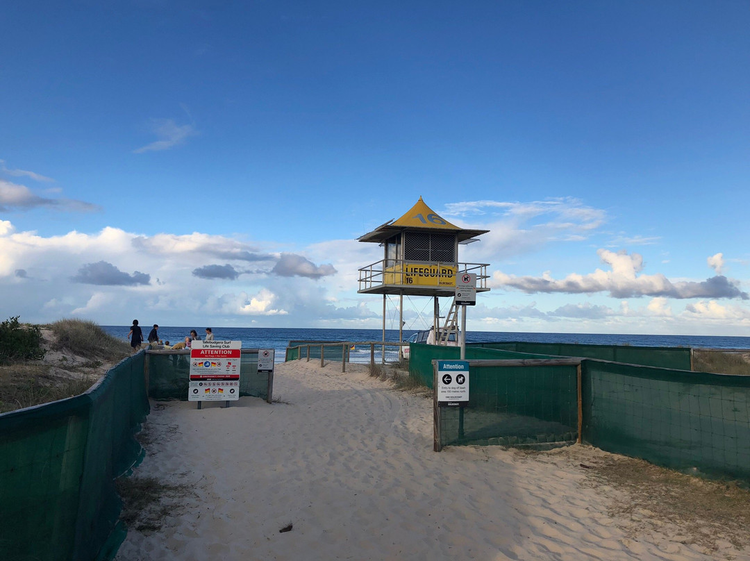 Ronnie Long Park-棕榈海滩必去景点
