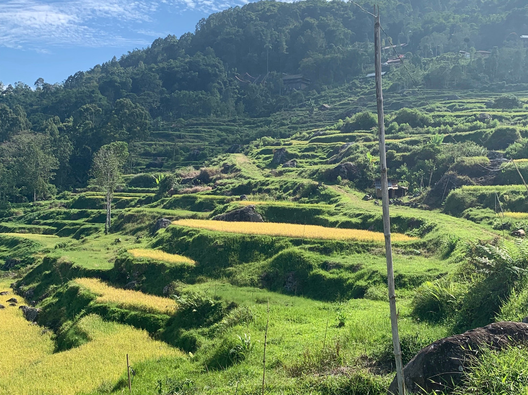 Ritha Balik-兰特包必去景点