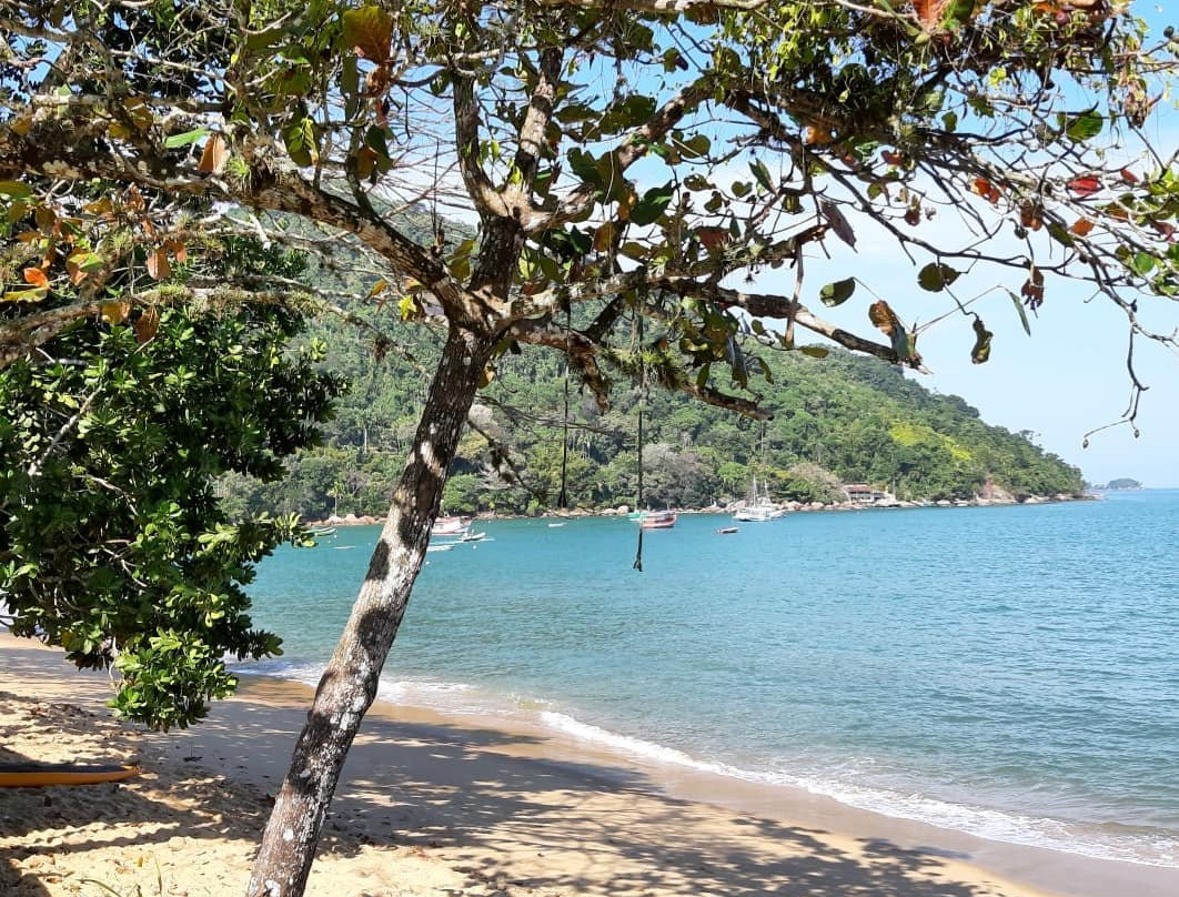 Picinguaba Beach-乌巴图巴必去景点