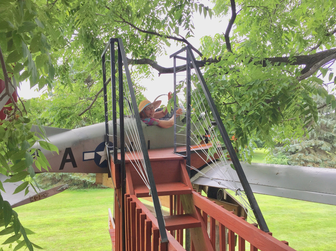 Tree Creations in Geneseo-Geneseo必去景点