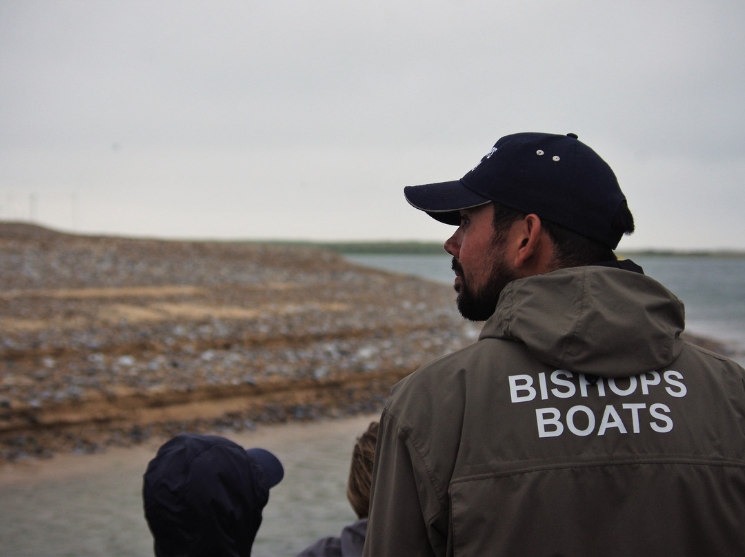 Bishops Boats Seal Trips景点图片